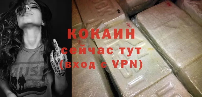 COCAIN FishScale  ссылка на мегу как зайти  Новоалтайск  shop наркотические препараты  цена наркотик 